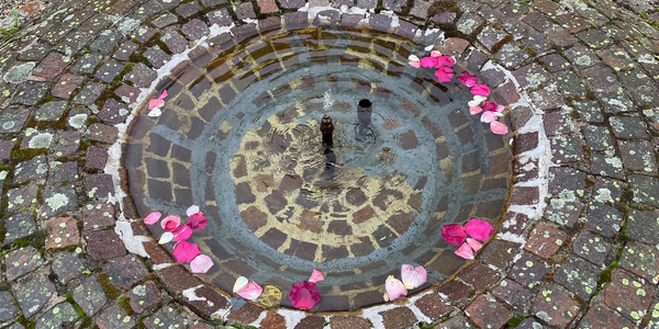 Brunnen mit Rosenblättern. Foto Gunda Brüske