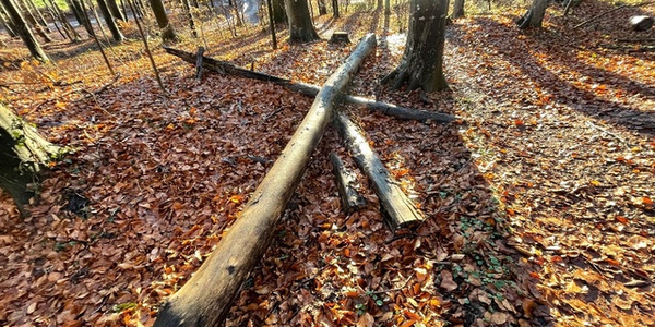 Kreuz auf dem Waldboden. © Gunda Brüske