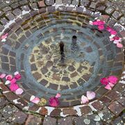 Brunnen mit Rosenblaettern